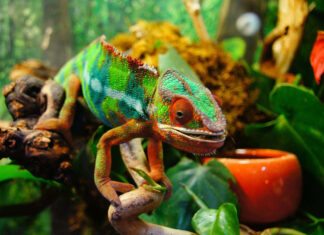 ‘FLUID CONTENT’, Artificial Intelligence en de consequenties voor o.a. kennismanagement