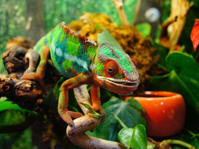 ‘FLUID CONTENT’, Artificial Intelligence en de consequenties voor o.a. kennismanagement